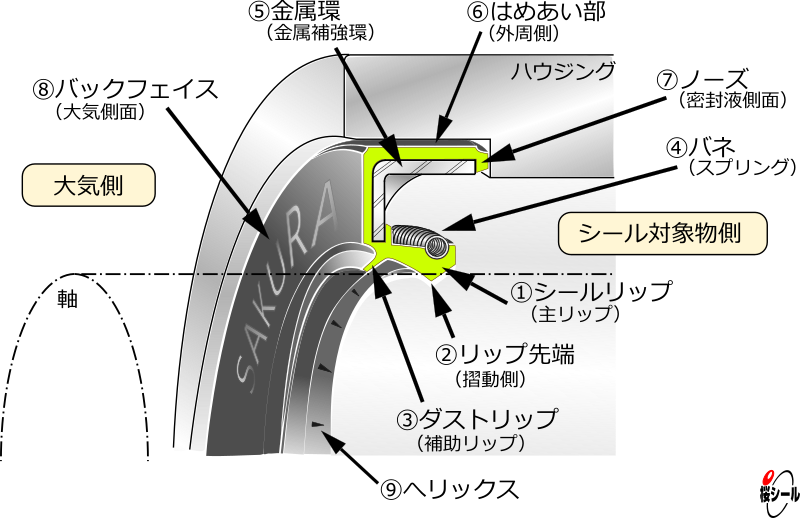 Oil-Ring